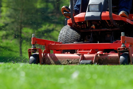 How often should lawn mowing be scheduled before your yard starts looking overgrown