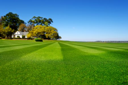 How to Choose the Right Lawn Mowing Company