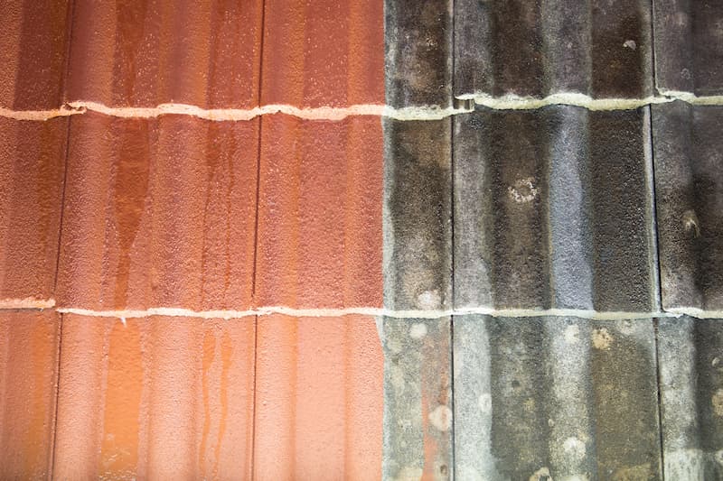 Removing, Mold, Mildew And The 'Silent Killer' | Scottsboro Pressure Washing