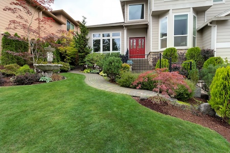 Why does consistent lawn care make a bigger difference than occasional yard work