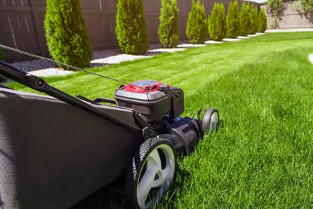 Why regular lawn mowing matters for a healthy yard