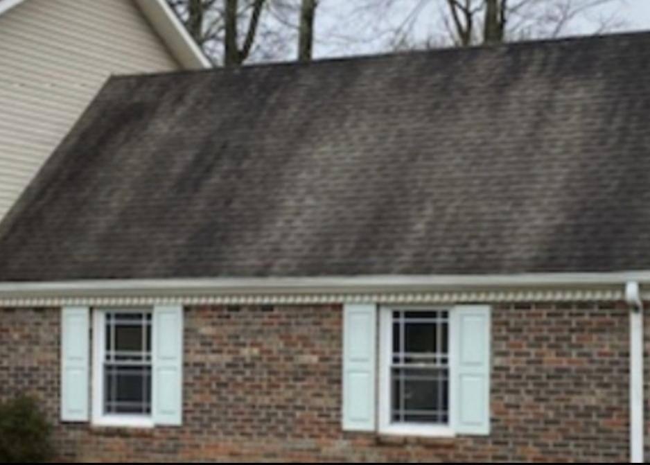 Dirty Roof Softwash in Scottsboro, AL