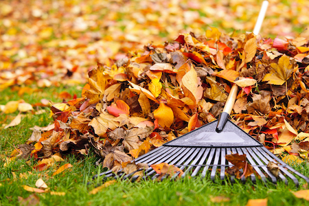 Gutter cleaning